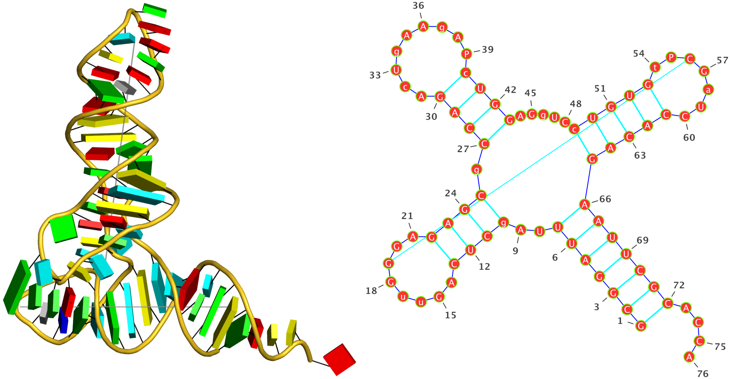 hairpin structure rna